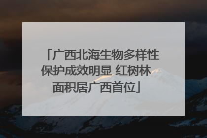 广西北海生物多样性保护成效明显 红树林面积居广西首位