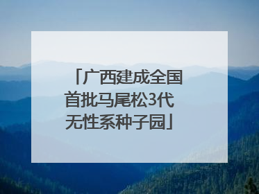 广西建成全国首批马尾松3代无性系种子园