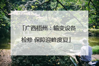 广西梧州：输变设备检修 保障迎峰度夏