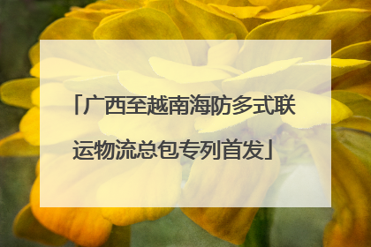 广西至越南海防多式联运物流总包专列首发