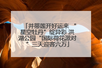 并蒂莲开好运来 “星空牡丹”绽异彩 洪湖公园“国际荷花派对”三天迎客六万