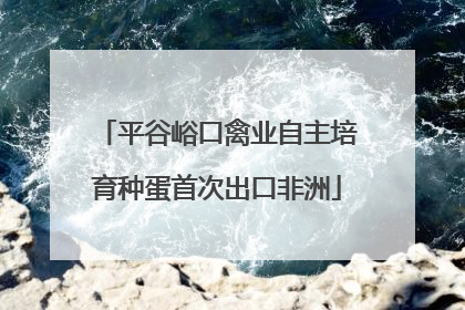 平谷峪口禽业自主培育种蛋首次出口非洲
