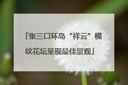 张三口环岛“祥云”模纹花坛呈现最佳景观