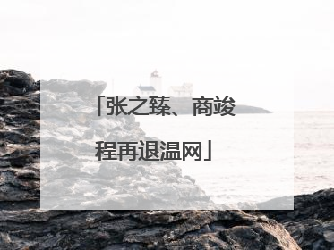 张之臻、商竣程再退温网