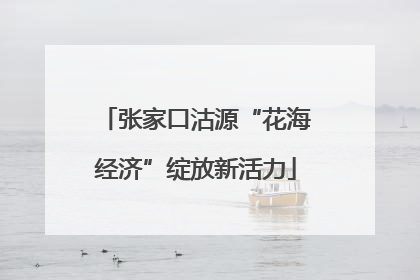 张家口沽源“花海经济”绽放新活力