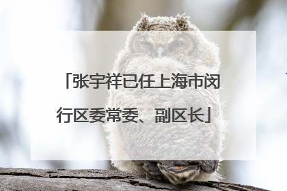 张宇祥已任上海市闵行区委常委、副区长