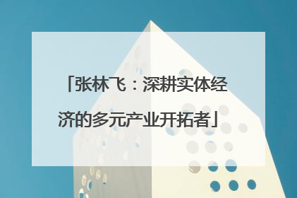 张林飞：深耕实体经济的多元产业开拓者
