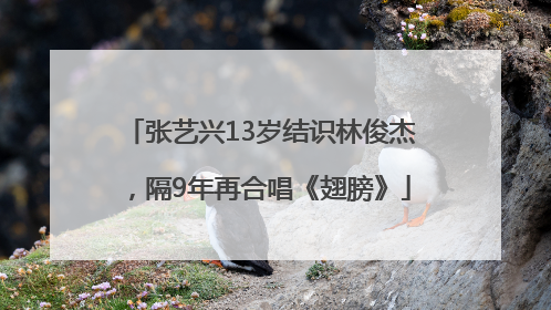 张艺兴13岁结识林俊杰，隔9年再合唱《翅膀》