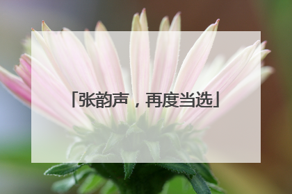 张韵声，再度当选
