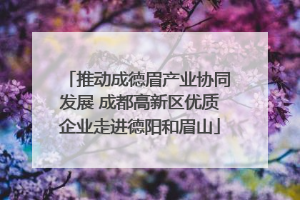 推动成德眉产业协同发展 成都高新区优质企业走进德阳和眉山