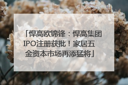悍高欧锦锋：悍高集团IPO注册获批！家居五金资本市场再添猛将