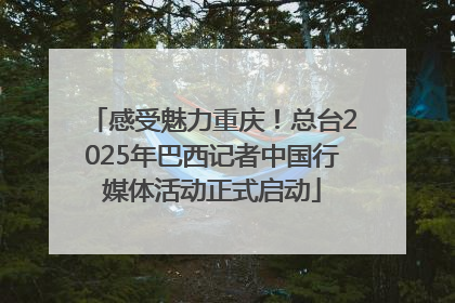 感受魅力重庆！总台2025年巴西记者中国行媒体活动正式启动