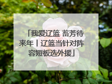 我爱辽篮 蓄芳待来年丨辽篮当针对阵容短板选外援