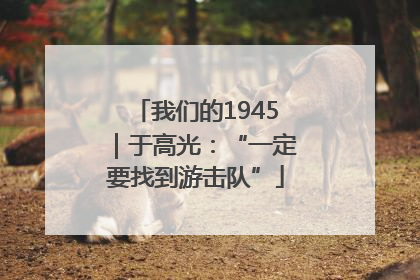 我们的1945｜于高光：“一定要找到游击队”