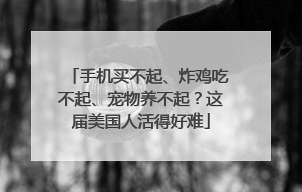 手机买不起、炸鸡吃不起、宠物养不起？这届美国人活得好难
