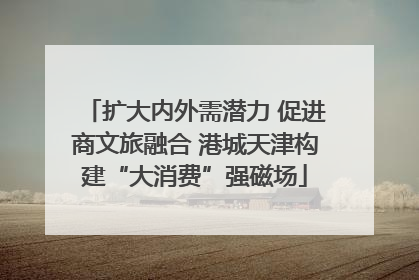 扩大内外需潜力 促进商文旅融合 港城天津构建“大消费”强磁场