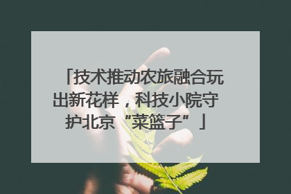 技术推动农旅融合玩出新花样，科技小院守护北京“菜篮子”