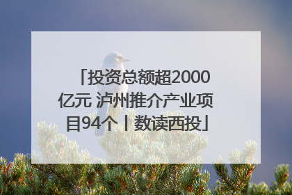 投资总额超2000亿元 泸州推介产业项目94个丨数读西投