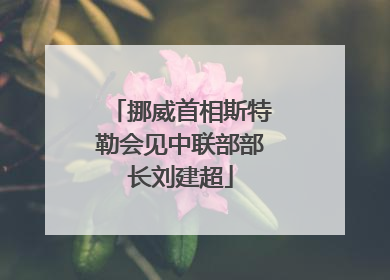 挪威首相斯特勒会见中联部部长刘建超