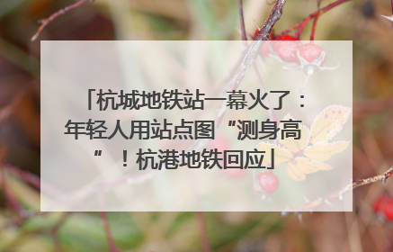 杭城地铁站一幕火了：年轻人用站点图“测身高”！杭港地铁回应