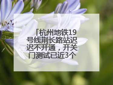 杭州地铁19号线荆长路站迟迟不开通，开关门测试已近3个月？回应来了