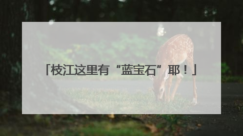 枝江这里有“蓝宝石”耶！