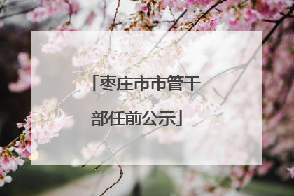 枣庄市市管干部任前公示