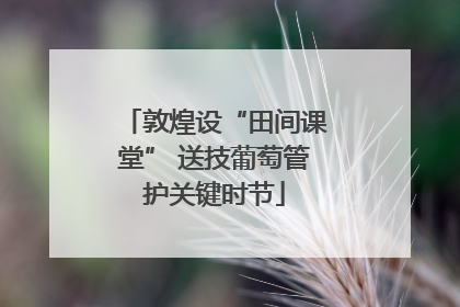敦煌设“田间课堂” 送技葡萄管护关键时节