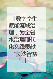 数字孪生赋能流域治理，为全省水治理现代化实践贡献“长沙智慧”