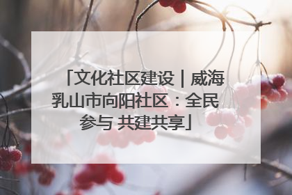 文化社区建设｜威海乳山市向阳社区：全民参与 共建共享
