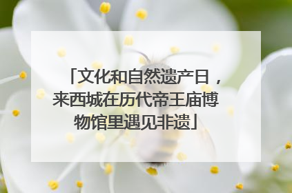文化和自然遗产日，来西城在历代帝王庙博物馆里遇见非遗