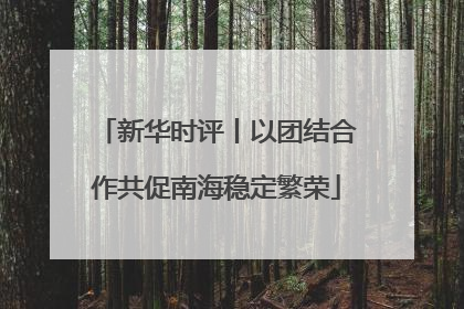 新华时评丨以团结合作共促南海稳定繁荣