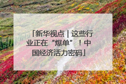 新华视点｜这些行业正在“爆单”！中国经济活力密码