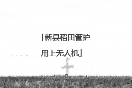 新县稻田管护用上无人机