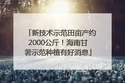 新技术示范田亩产约2000公斤！海南甘薯示范种植有好消息