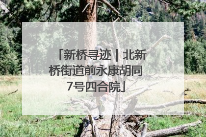 新桥寻迹｜北新桥街道前永康胡同7号四合院