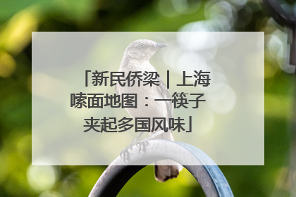 新民侨梁｜上海嗦面地图：一筷子夹起多国风味