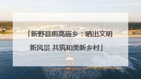 新野县前高庙乡：晒出文明新风景 共筑和美新乡村