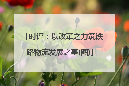 时评：以改革之力筑铁路物流发展之基(图)