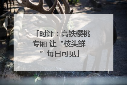 时评：高铁樱桃专厢 让“枝头鲜”每日可见
