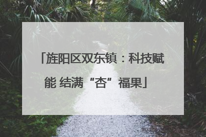 旌阳区双东镇：科技赋能 结满“杏”福果