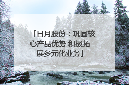 日月股份：巩固核心产品优势 积极拓展多元化业务