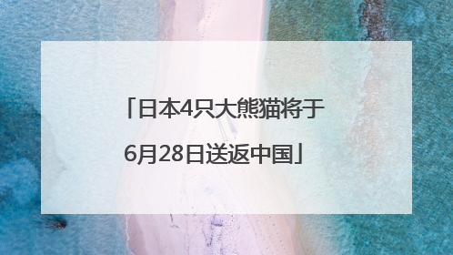 日本4只大熊猫将于6月28日送返中国
