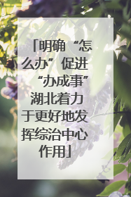 明确“怎么办”促进“办成事” 湖北着力于更好地发挥综治中心作用