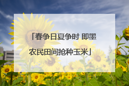春争日夏争时 即墨农民田间抢种玉米