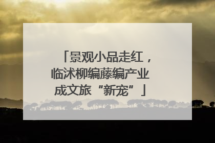 景观小品走红，临沭柳编藤编产业成文旅“新宠”