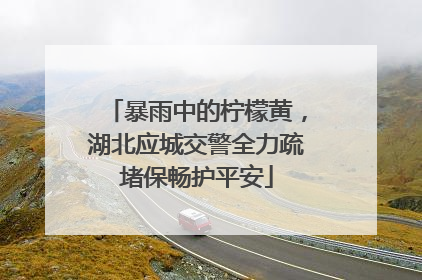 暴雨中的柠檬黄，湖北应城交警全力疏堵保畅护平安