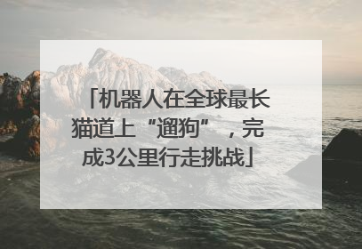 机器人在全球最长猫道上“遛狗”，完成3公里行走挑战