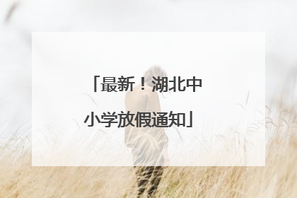 最新！湖北中小学放假通知