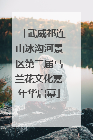 武威祁连山冰沟河景区第二届马兰花文化嘉年华启幕